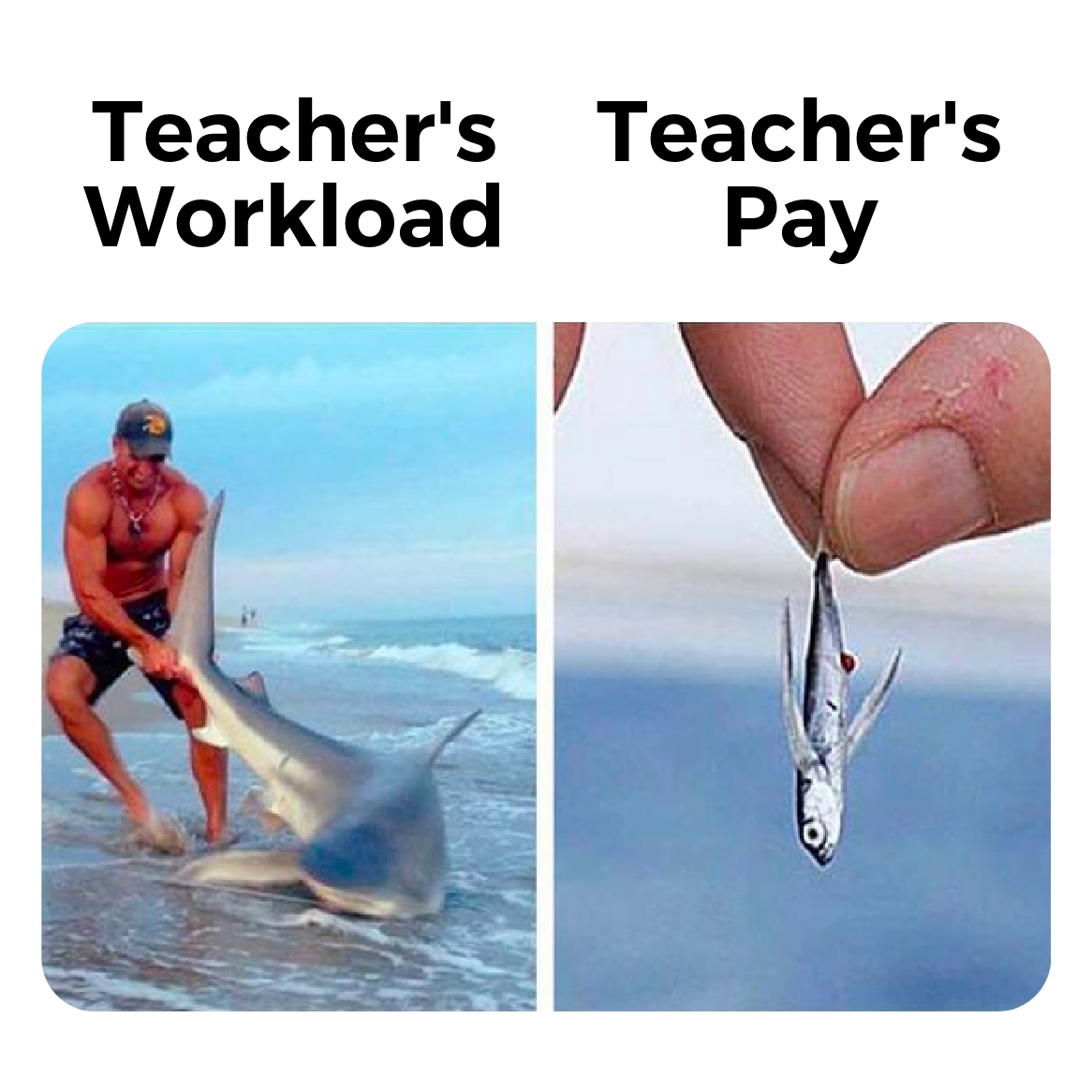 Teacher’s workload versus pay