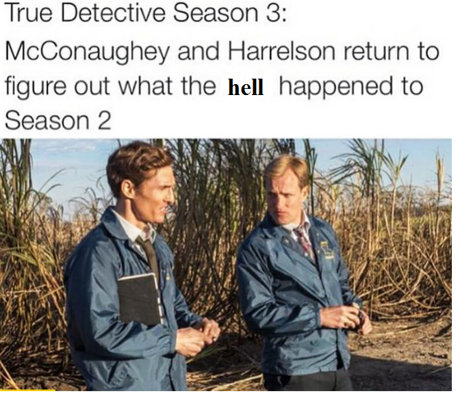 What Happened in True Detective Season 2?