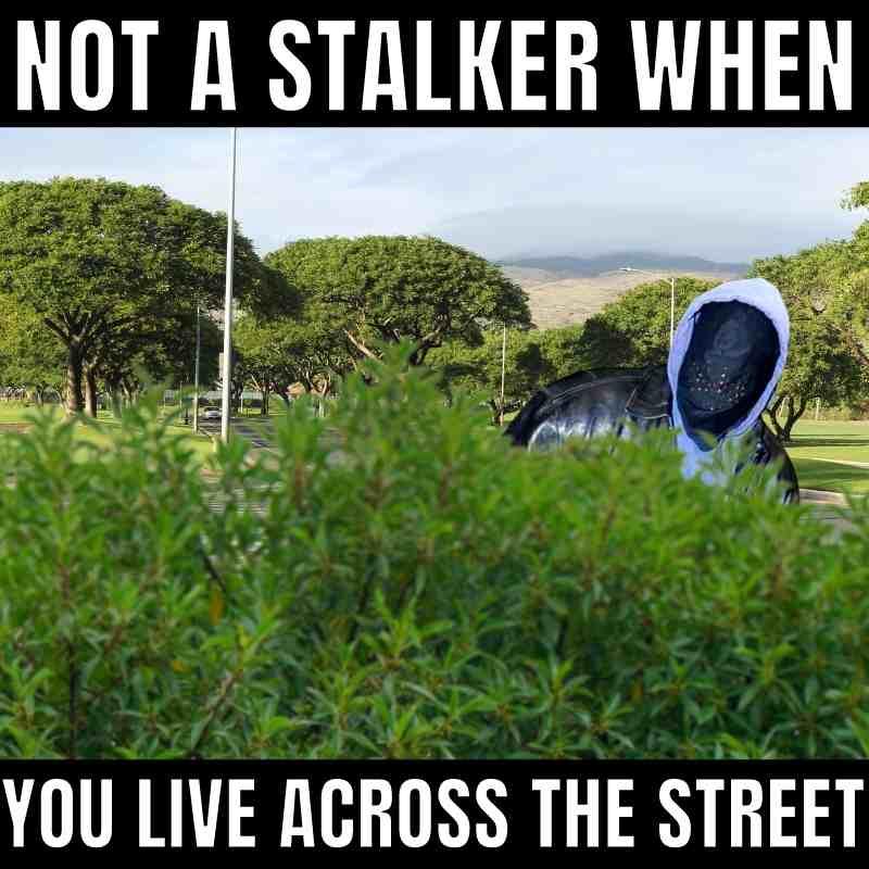 Not a stalker