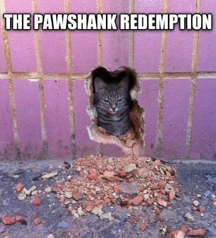 &#8220;The Shawshank Redemption&#8221; Memes