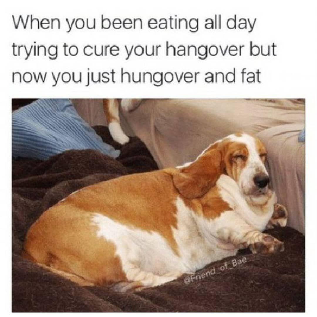 Hungover And Fat